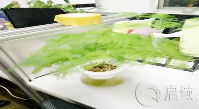 春水堂视频黄APP金属办公室